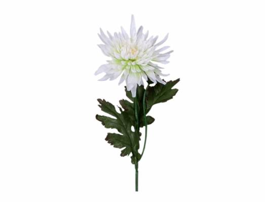 Chryzantéma KVĚT X2 58cm/bílo-krémová