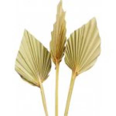 Dekorace-Palmový list ve tvaru oštěpu 4ks