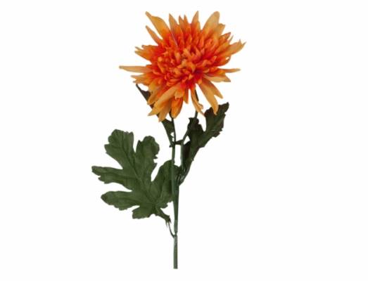 Chryzantéma KVĚT X2 58cm/oranžová