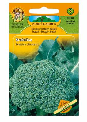 Brokolice LIMBA 0119cc