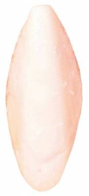 Sepiová kost 6-12cm